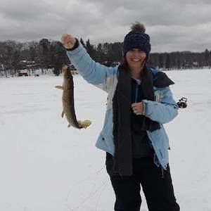 Meet your Posher, Ginger